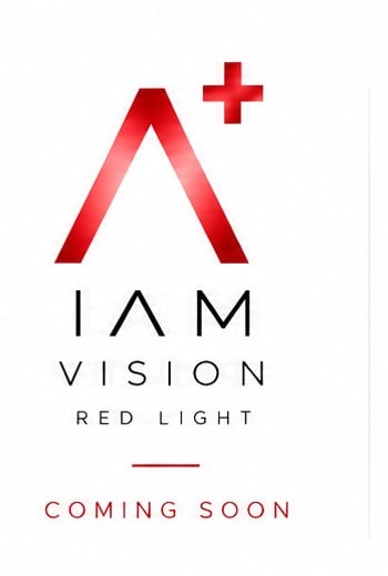IAM Vision · Red light